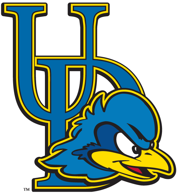 Delaware Blue Hens 2009-Pres Primary Logo DIY iron on transfer (heat transfer)